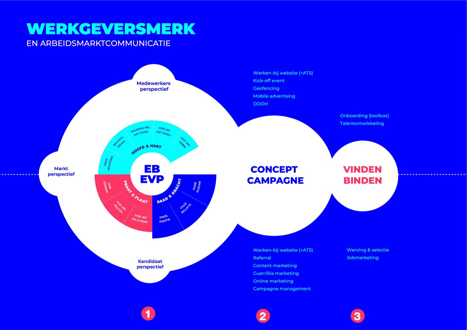 The Schwung employer brand model: at its core EB/EVP, around it the brand model (Head & heart, Talk & image, Action & strength) and the perspectives employee, candidate and market, followed by concept & campaign and finding & retaining employees.